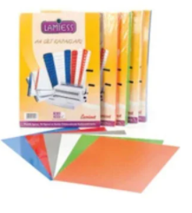 Lamiess - Lamiess A4 Pvc Şeffaf Cilt Kapağı 100 lü