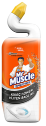 Mr.Muscle - Mr.Muscle duck