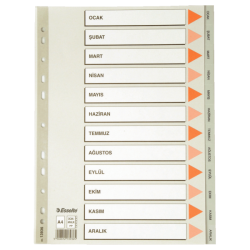 Esselte - Esselte Ocak-Aralık (Aylar) Separatör