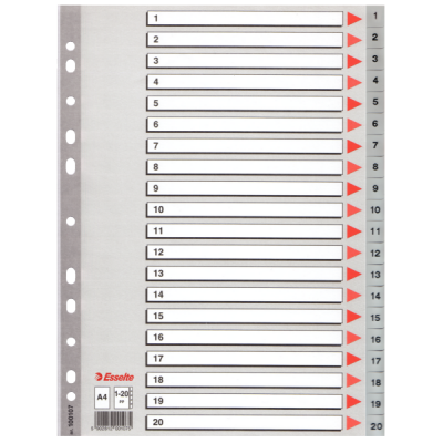 Esselte 1-20 Rakamlı Separatör