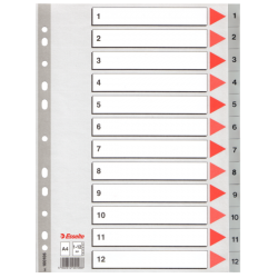 Esselte - Esselte 1-12 Rakamlı Separatör