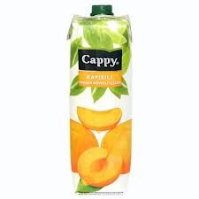 Cappy Kayısılı Meyveli İçecek 1 Litre (12′li Koli)